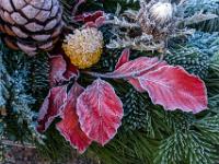 Zarte Reifkanten an roten Blätten an Grabgesteck